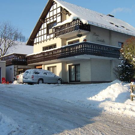 Haus Cristallo Olsberg Bagian luar foto