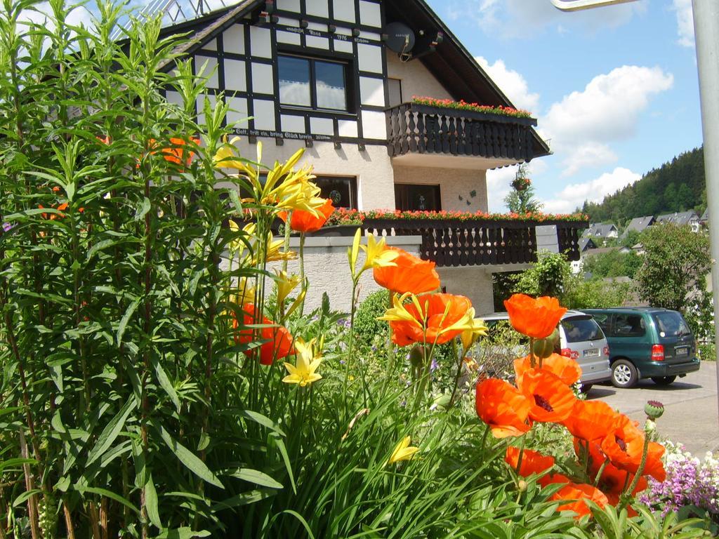 Haus Cristallo Olsberg Bagian luar foto