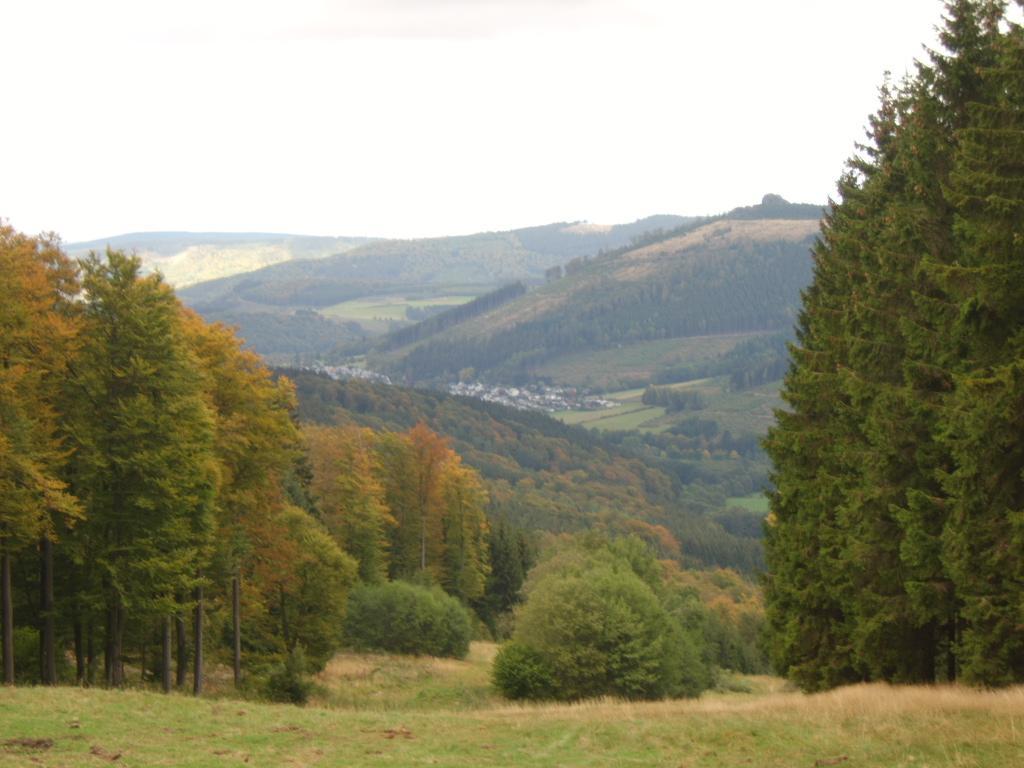 Haus Cristallo Olsberg Bagian luar foto