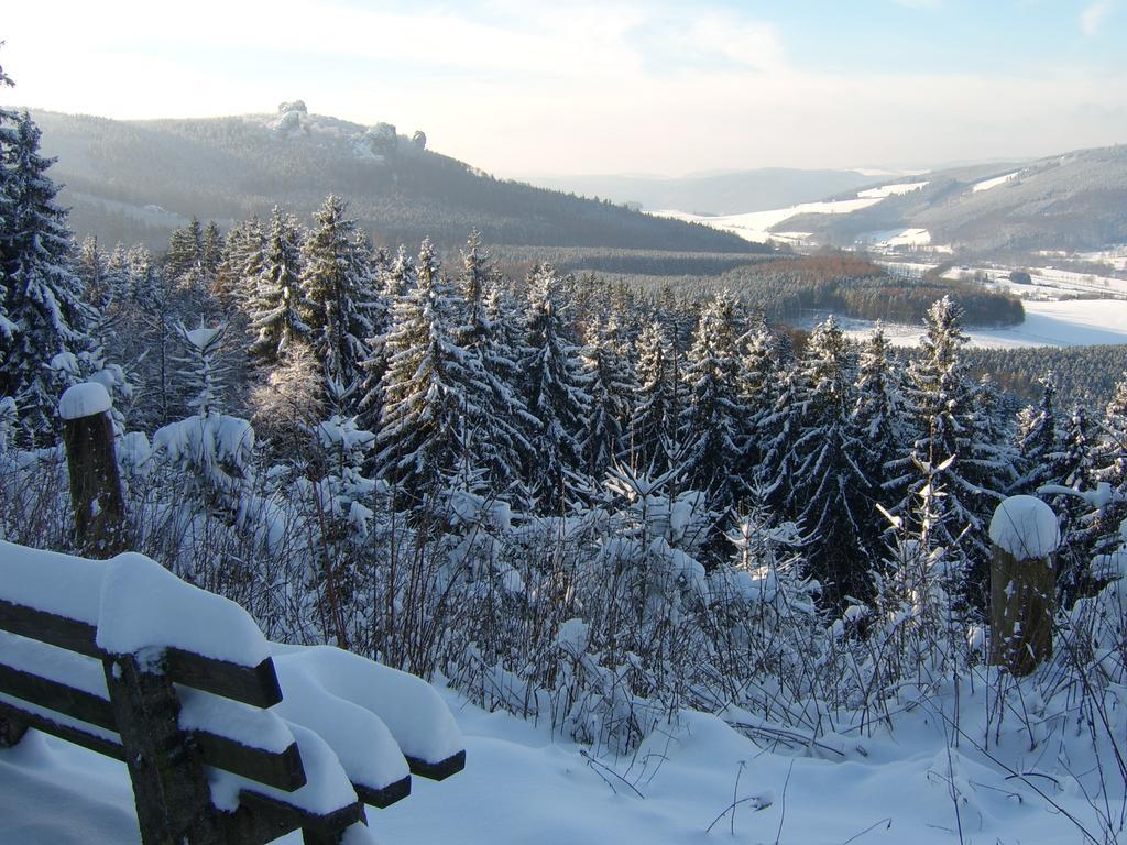 Haus Cristallo Olsberg Bagian luar foto